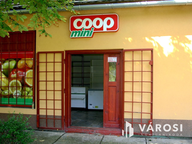 Ha vállalkozást szeretne elindítani,