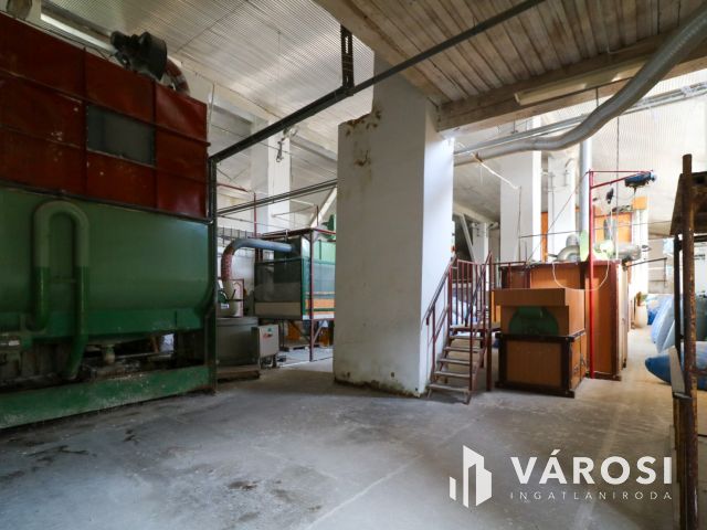 Eladó ipari ingatlan – nagy terekkel és saját kúttal!