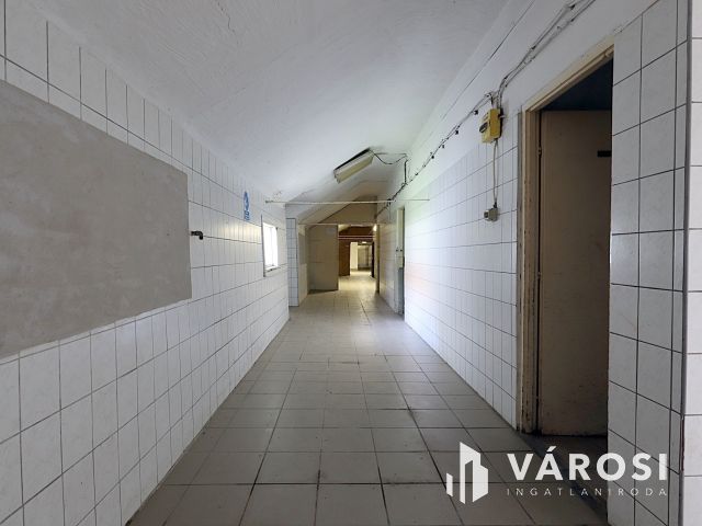 Üzemre, telephelyre vagy raktárra van szüksége? Megtalálta!