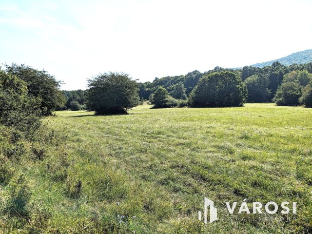 8 Ha 9410m2 Legelő - Kaszáló festői környezetben